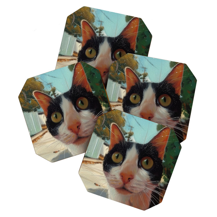 Peeping II Coaster Gallery Image 1