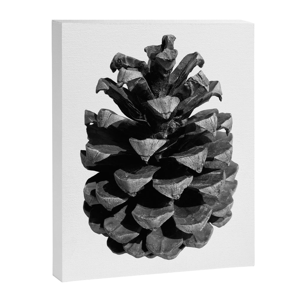 Pinecone Canvas Print Gallery Image 6