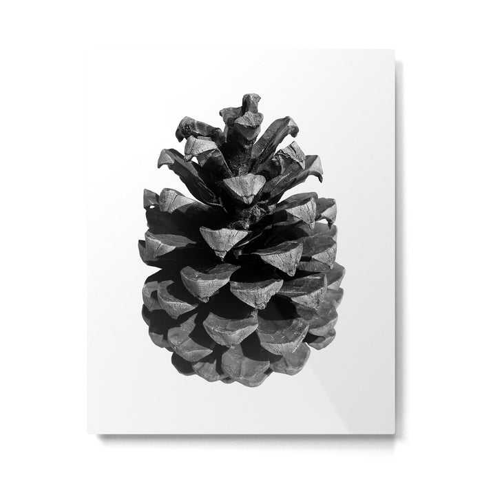 Pinecone Metal Print Gallery Image 1