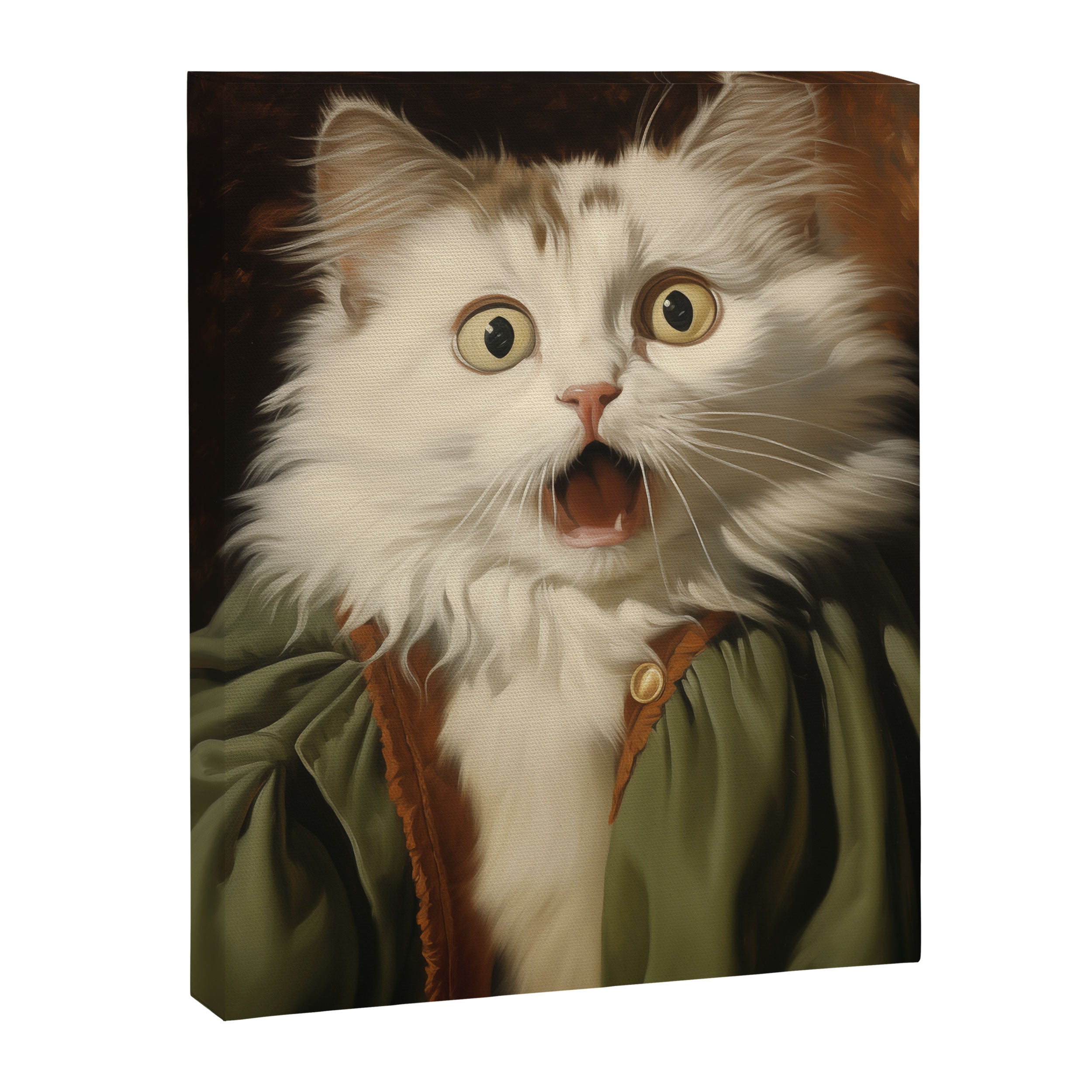 Shocked Cat III Canvas Print Gallery Image 6