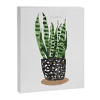 Snake Plant Canvas Print Gallery Image 6