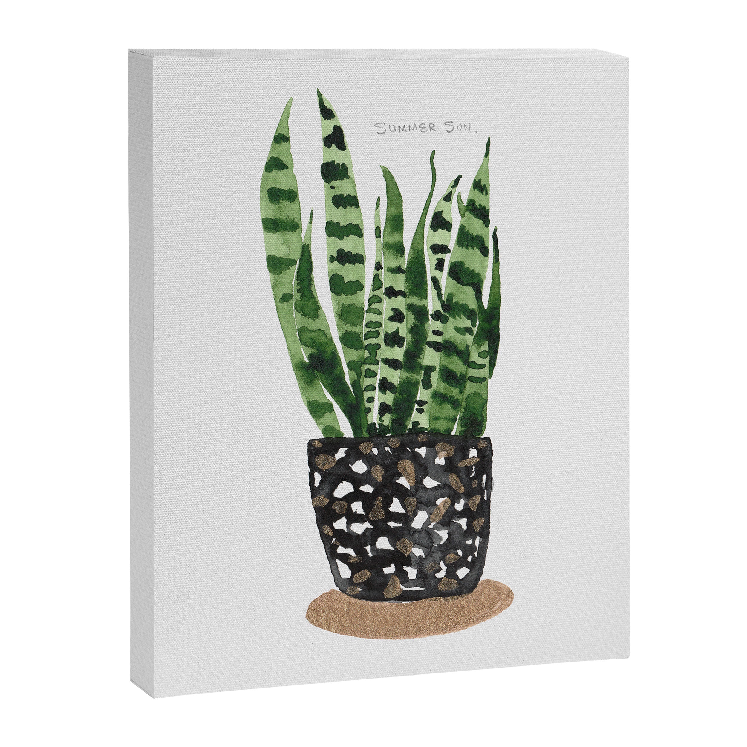 Snake Plant Canvas Print Gallery Image 6