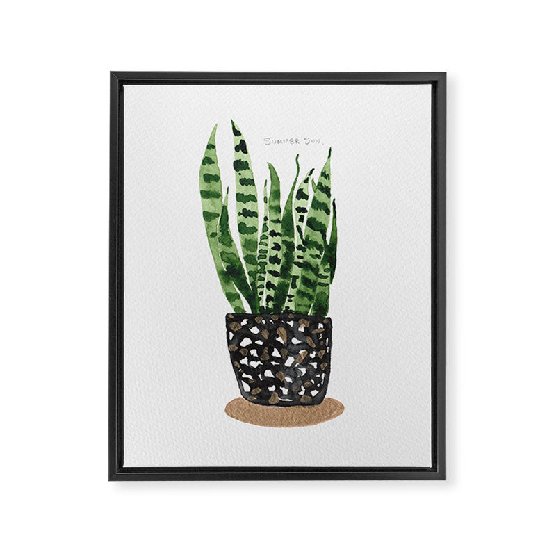 Snake Plant Framed Canvas Print Gallery Image 6