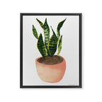 Snake plant watercolor painting Framed Canvas Print Gallery Image 6