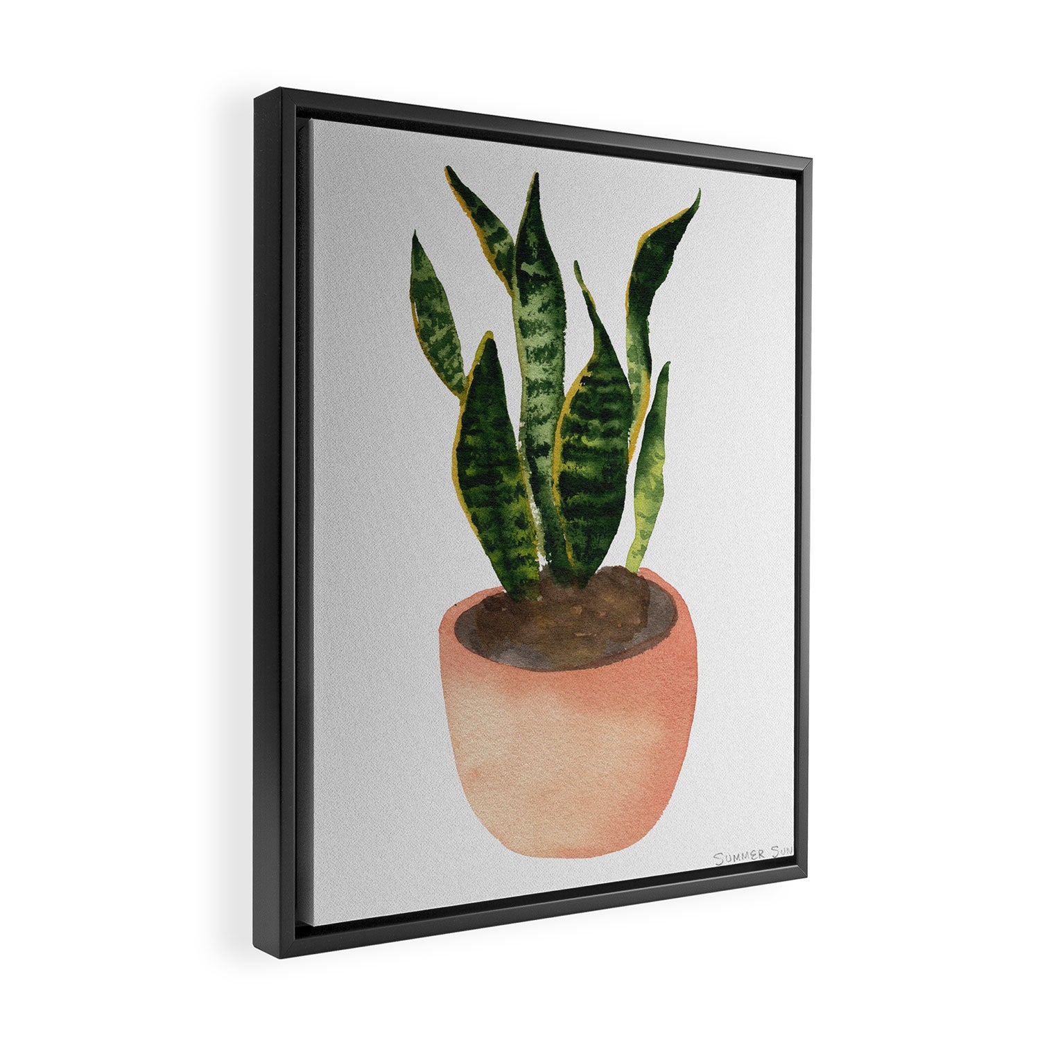 Snake plant watercolor painting Framed Canvas Print Gallery Image 2