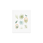 Air Plants Art Print Gallery Image 1