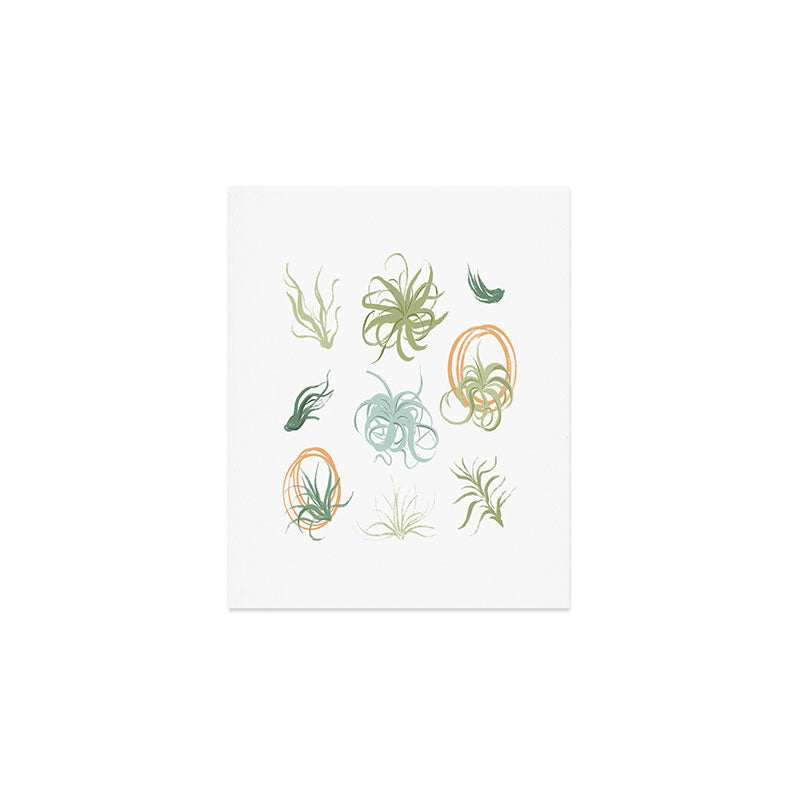 Air Plants Art Print Gallery Image 1