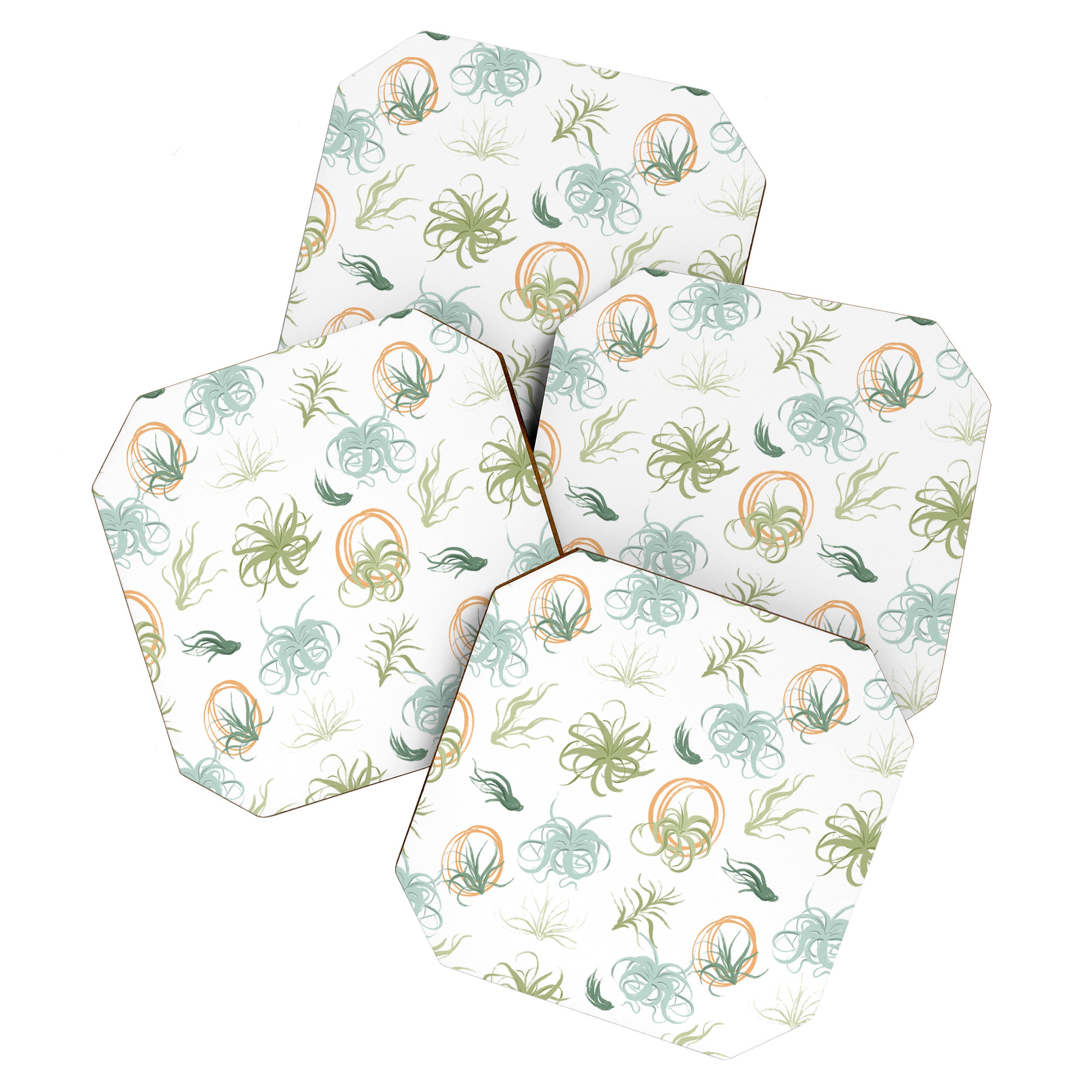 Air Plants Coaster Gallery Image 1