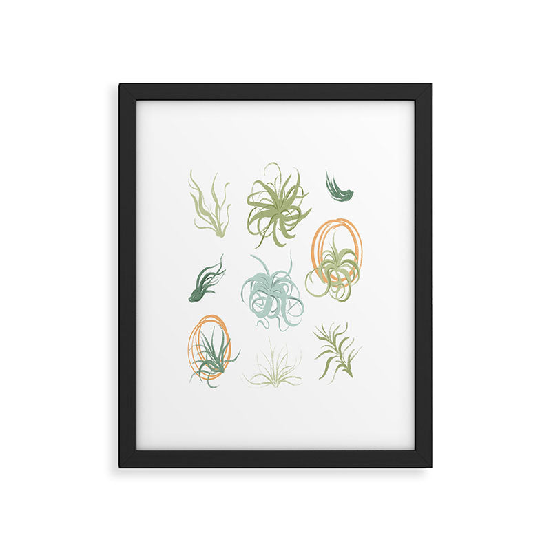 Air Plants Framed Art Print Gallery Image 6