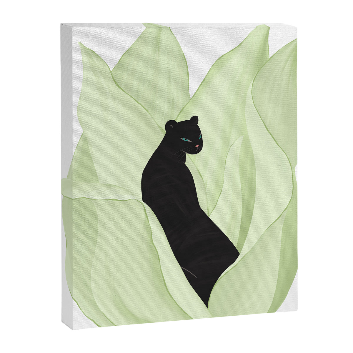 Black Panther in Sansevieria Canvas Print Gallery Image 6