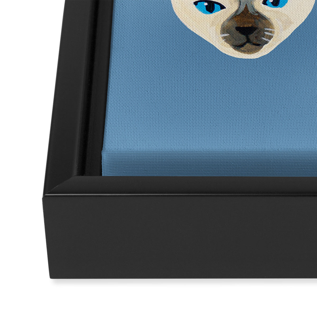 Cats Blue Framed Canvas Print Gallery Image 3