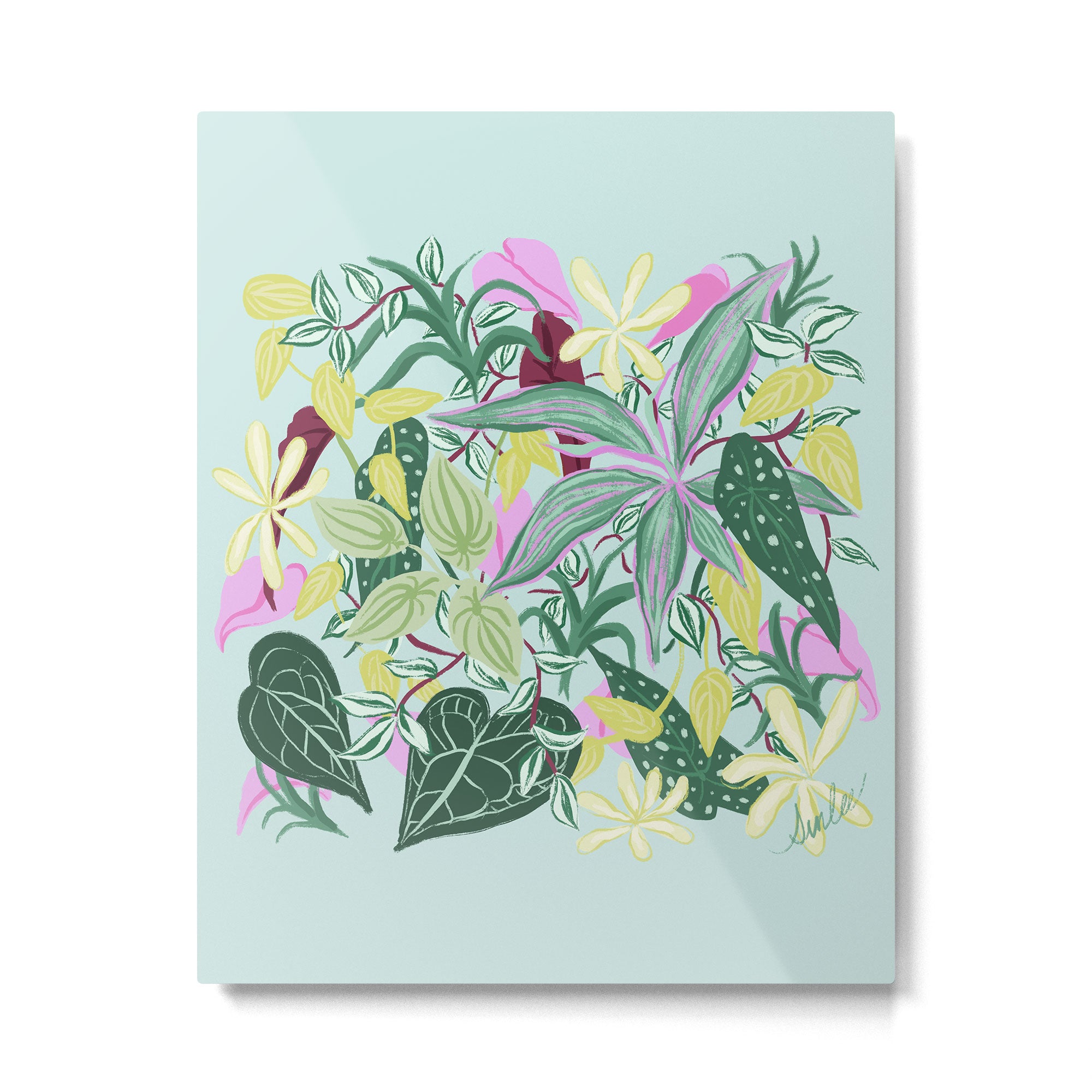 Crowded Houseplants Metal Print Gallery Image 6