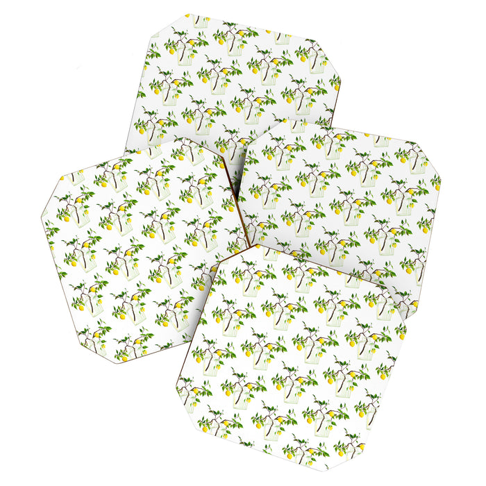 Lemon Tree Coaster Gallery Image 1