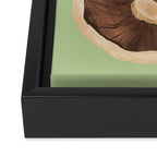 Mushrooms Framed Canvas Print Gallery Image 3
