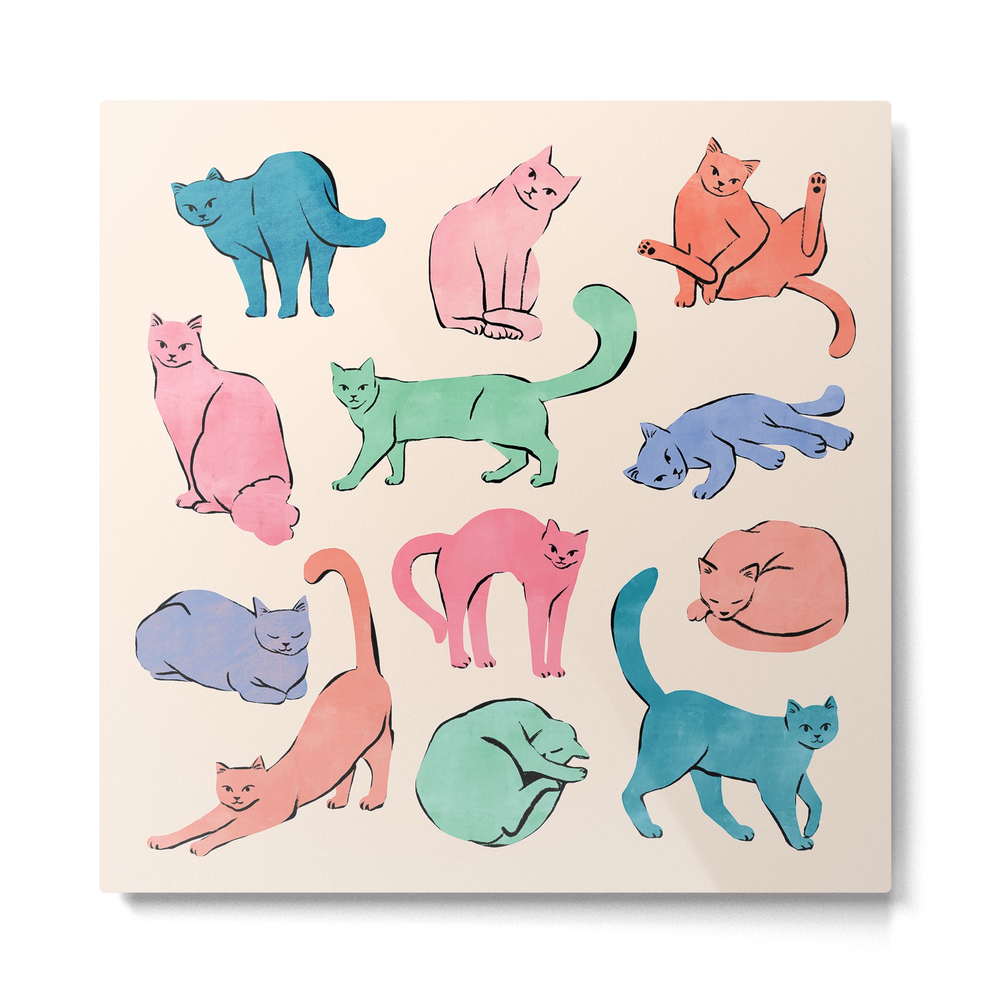 Pastel Cats Metal Print Gallery Image 2