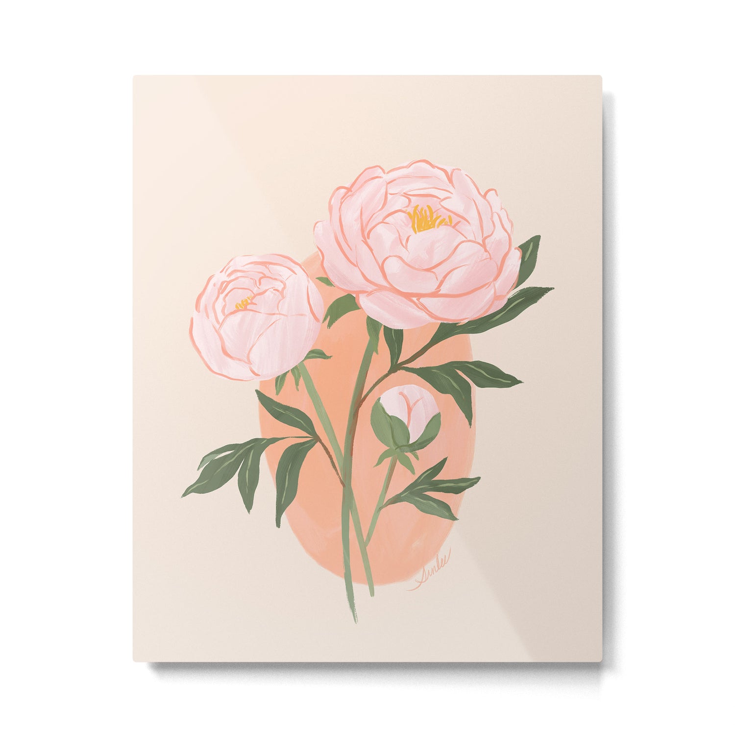 Peony Metal Print Gallery Image 4