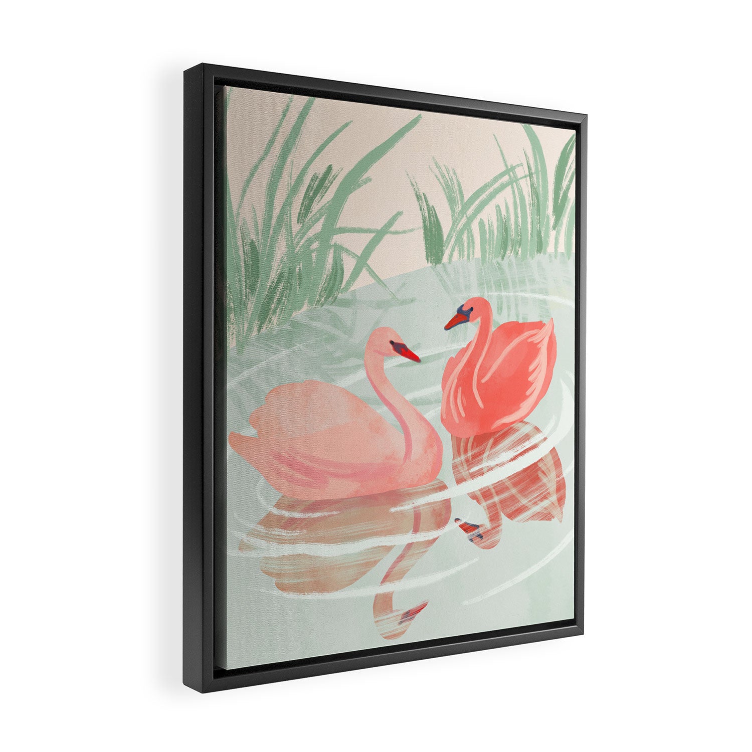 Pink Swans Framed Canvas Print Gallery Image 2