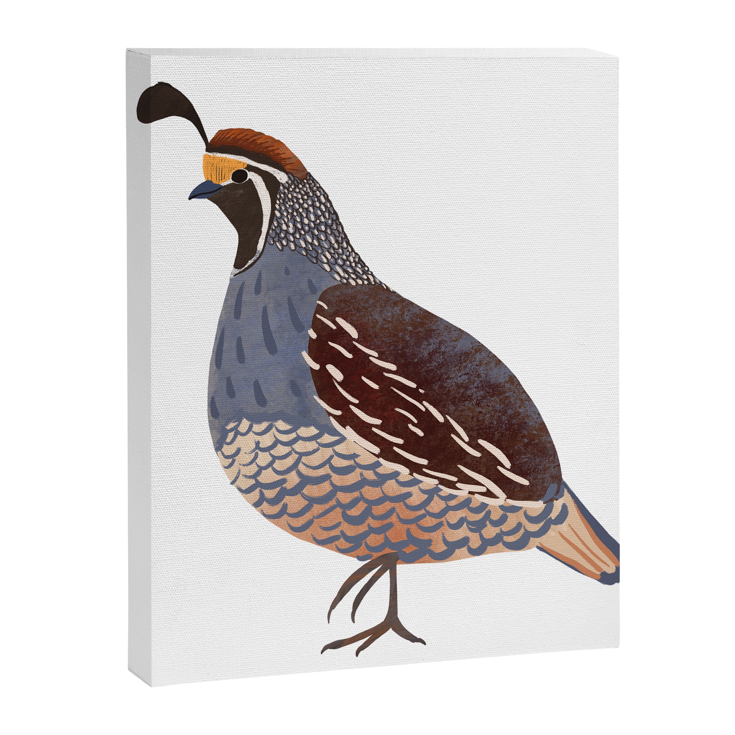Quail Canvas Print Gallery Image 8