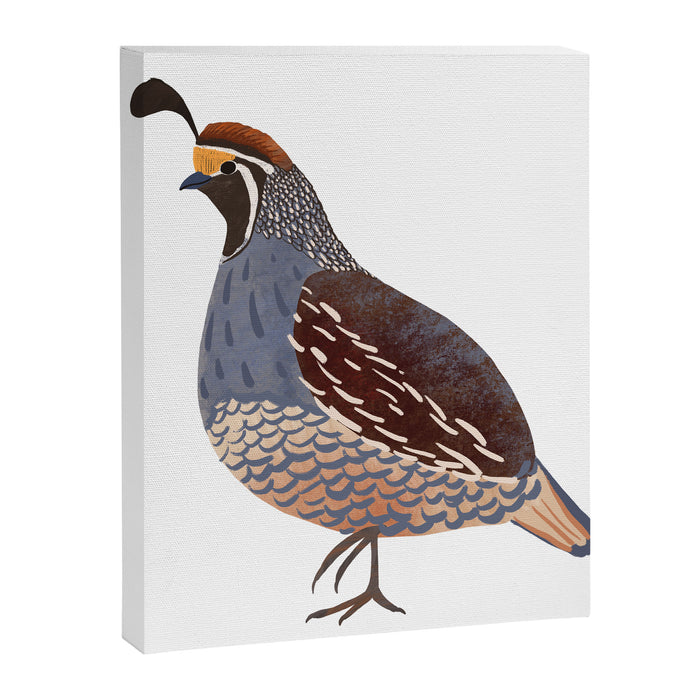 Quail Canvas Print Gallery Image 1