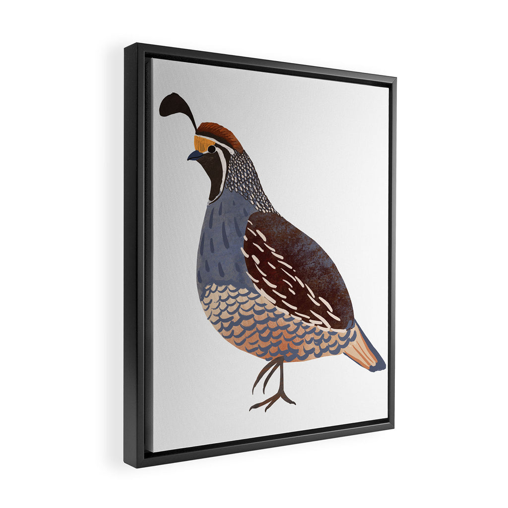 Quail Framed Canvas Print Gallery Image 2