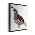 Quail Framed Canvas Print Gallery Image 2