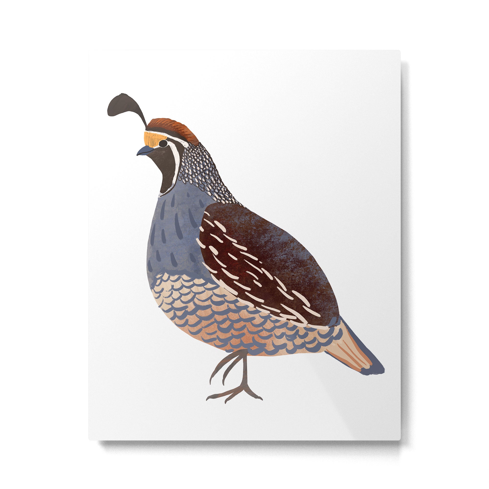 Quail Metal Print Gallery Image 6