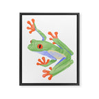 Tree Frog Framed Canvas Print Gallery Image 8