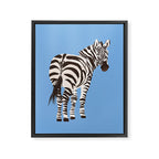Zebra Framed Canvas Print Gallery Image 8