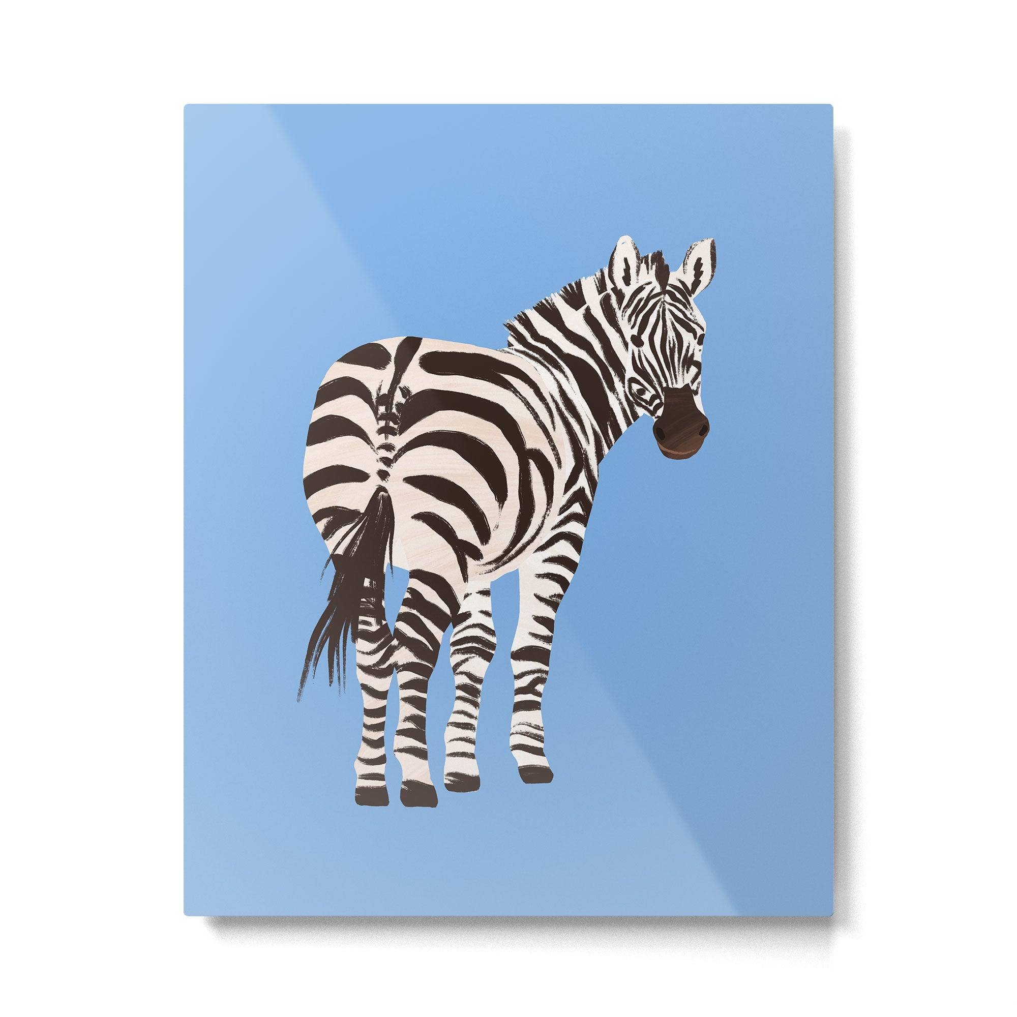 Zebra Metal Print Gallery Image 6