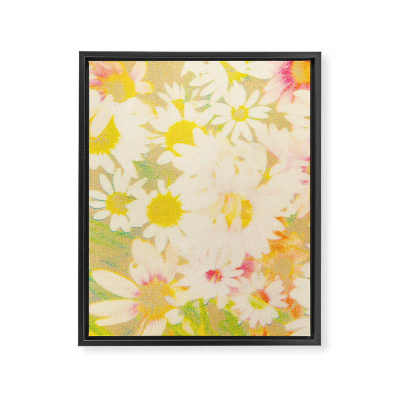 cassidy Framed Canvas Print Gallery Image 8