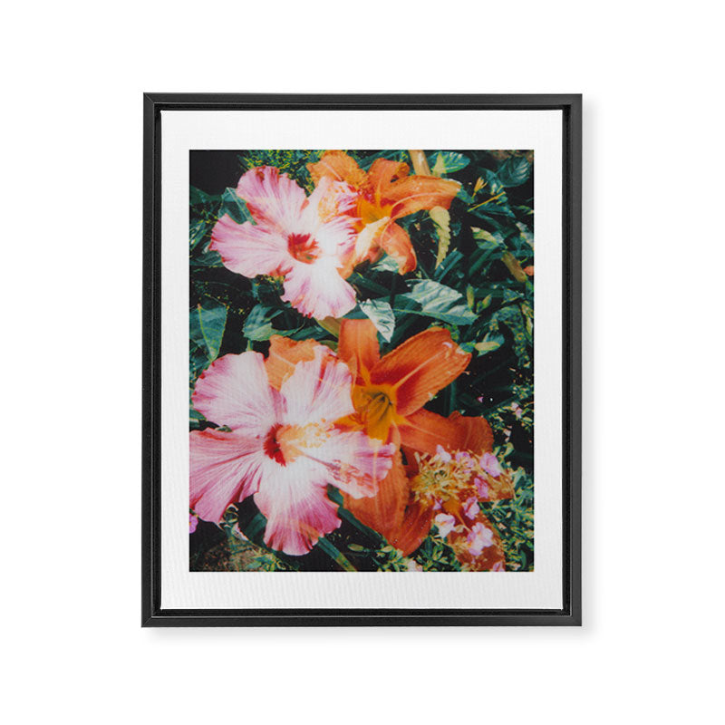 hibiscus lilly | double exposure Framed Canvas Print Gallery Image 6