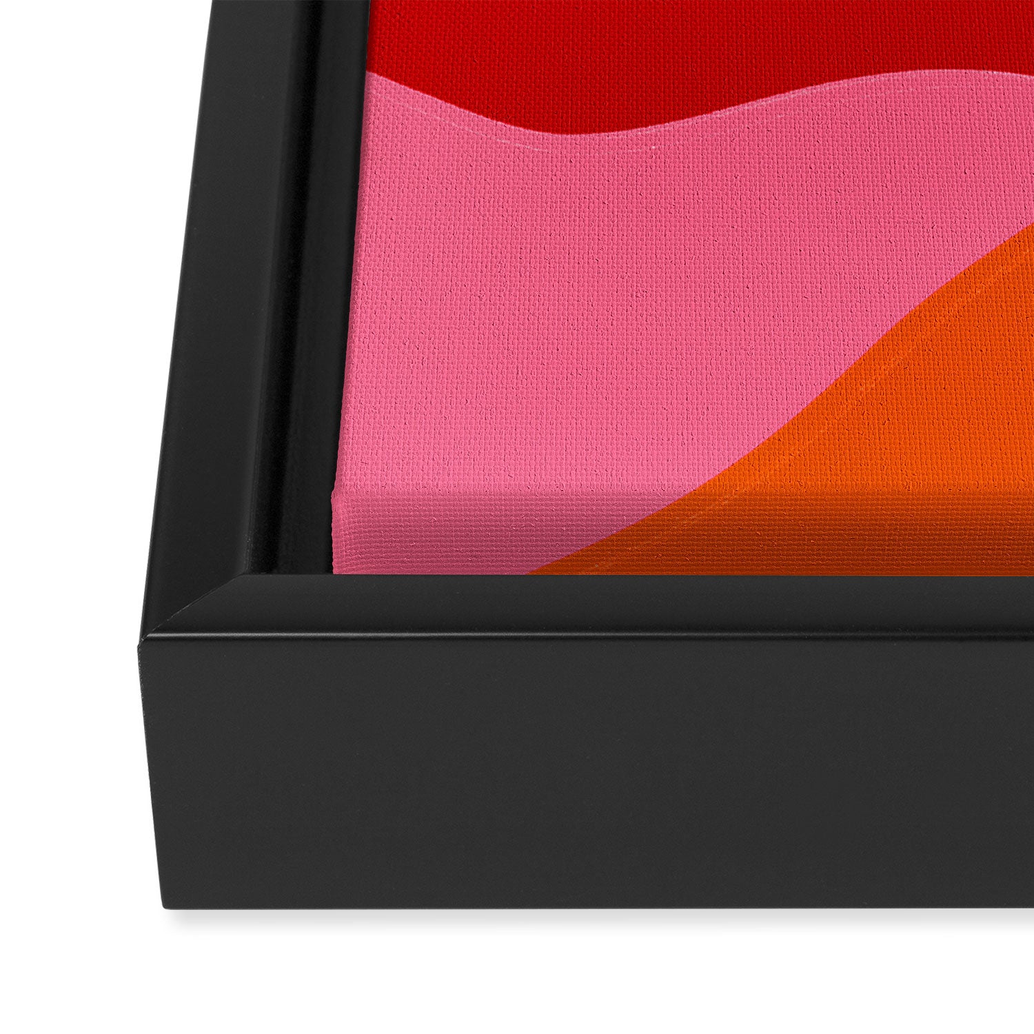 marlowe, pink & orange Framed Canvas Print Gallery Image 3