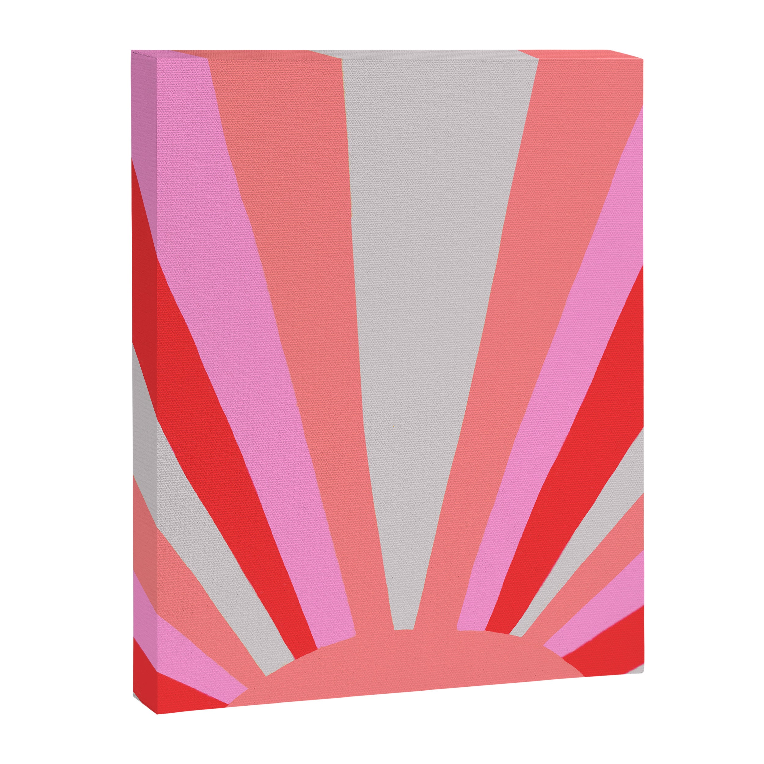 sunshine state, coral Canvas Print Gallery Image 8