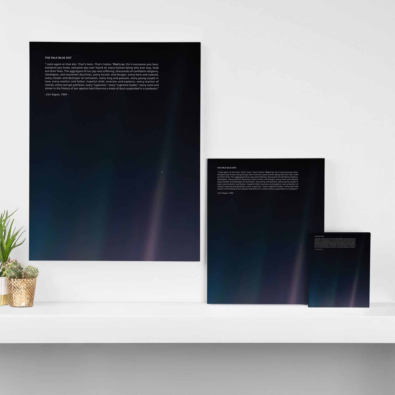 The Pale Blue Dot  Canvas Print Gallery Image 3