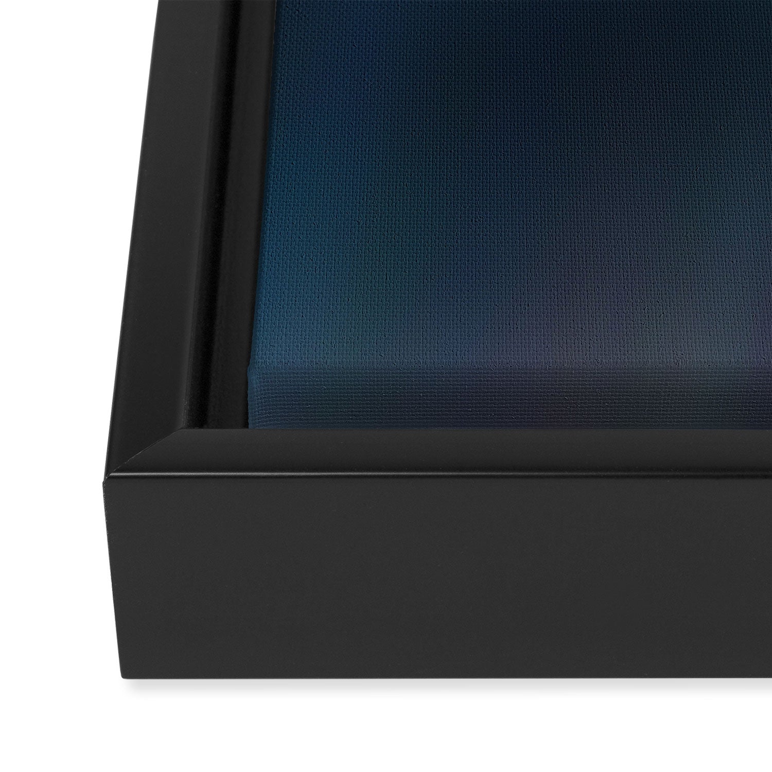 The Pale Blue Dot  Framed Canvas Print Gallery Image 3