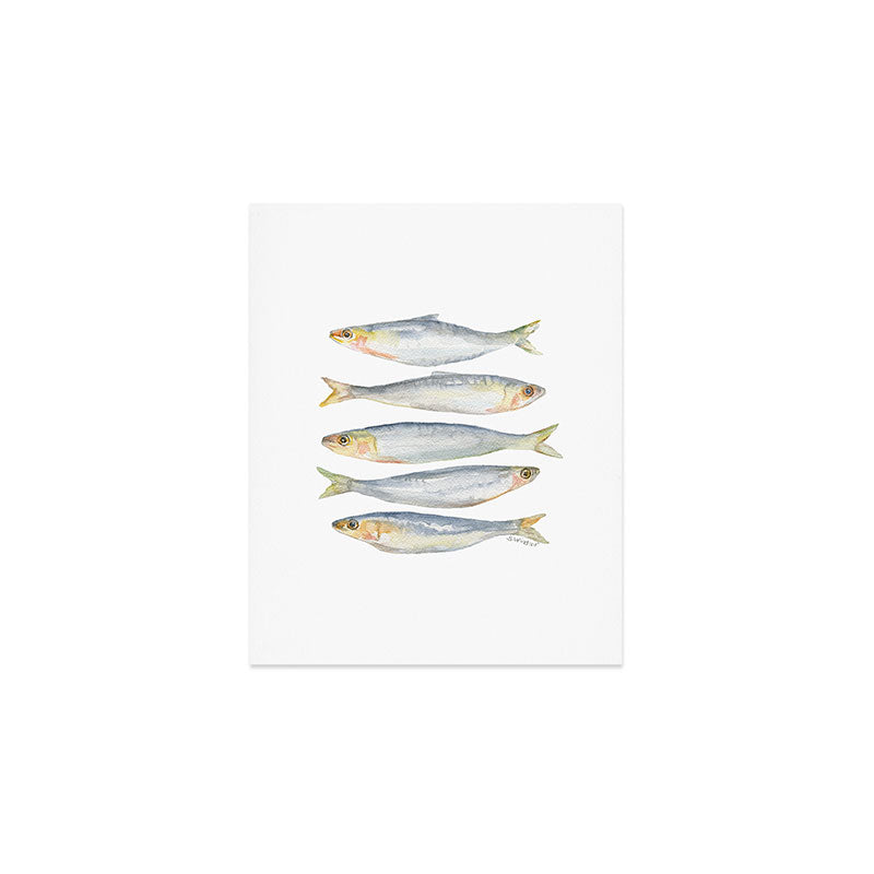Sardine Fish Watercolor  Art Print Gallery Image 1