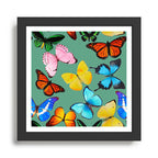 butterflies Framed Art Print Gallery Image 1