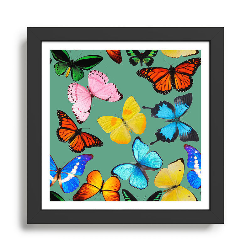 butterflies Framed Art Print Gallery Image 1