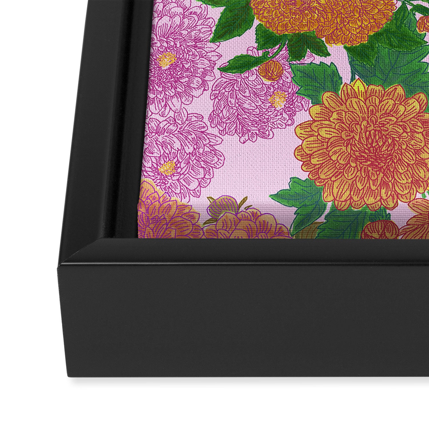 Darling Dahlias  Framed Canvas Print Gallery Image 3
