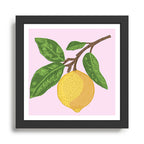 Lemon Branch Framed Art Print Gallery Image 1