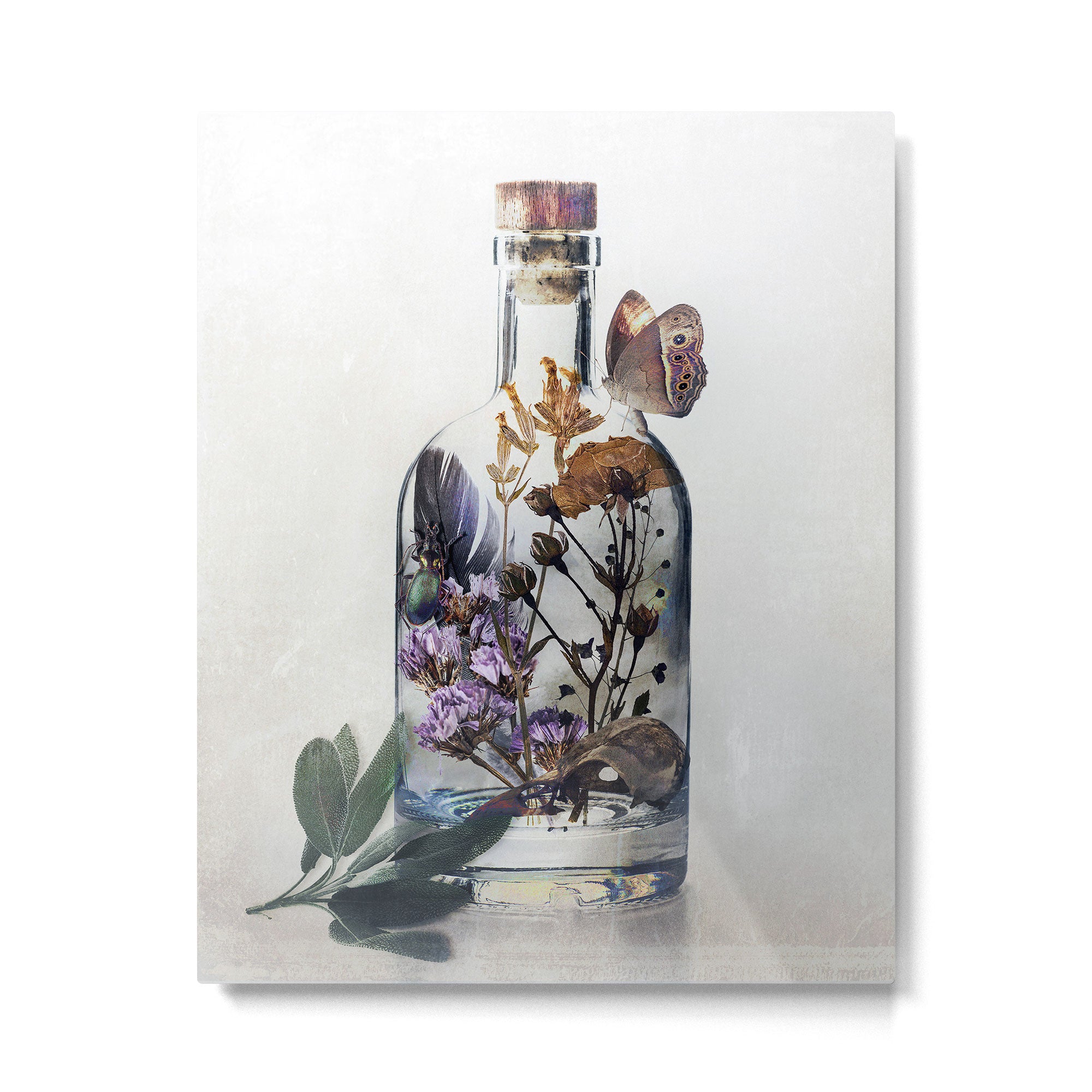 Sage and Bone Metal Print Gallery Image 6