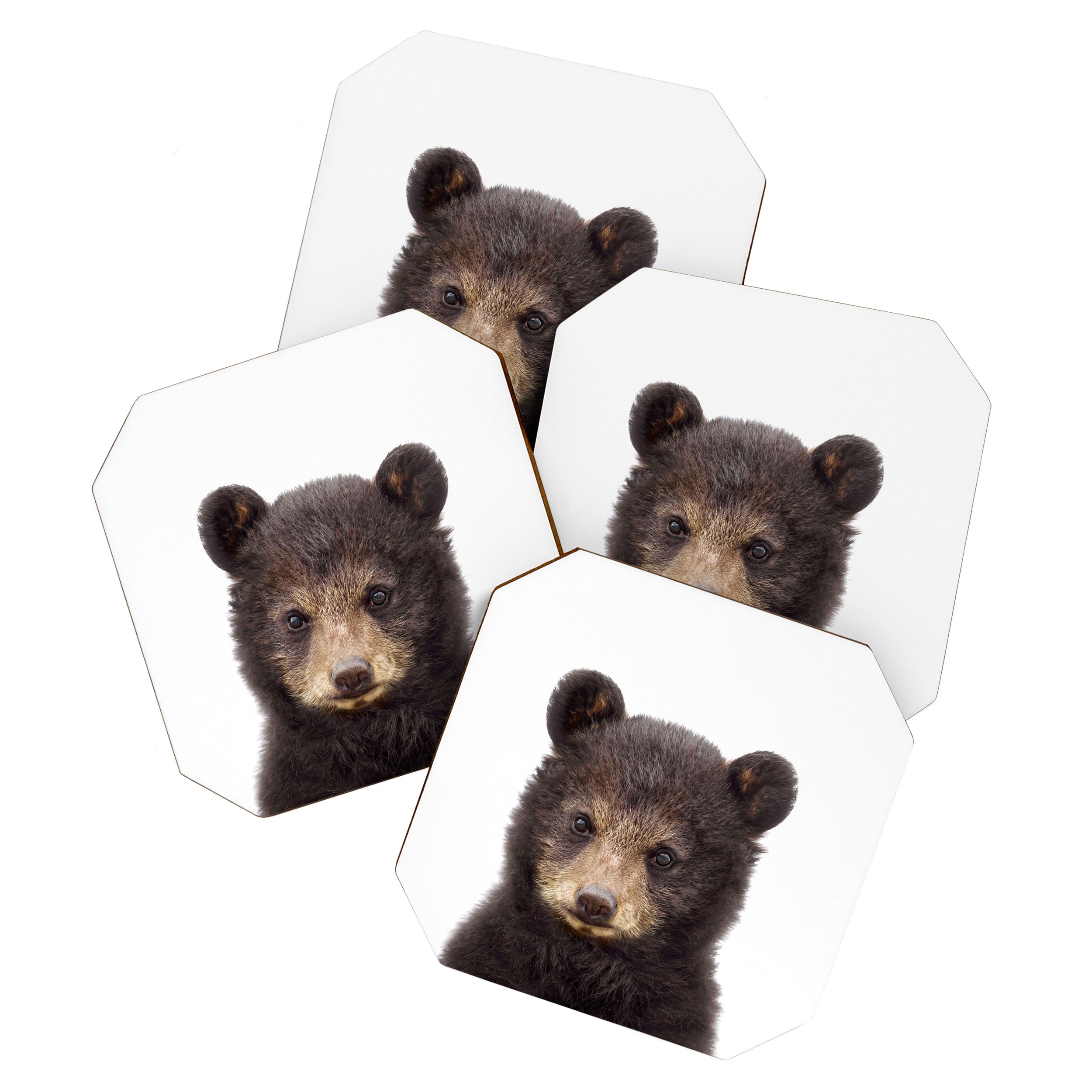 Baby Bear, Bear Cub, Kids Art, Baby Animals Art Print By Synplus Coaster Gallery Image 1