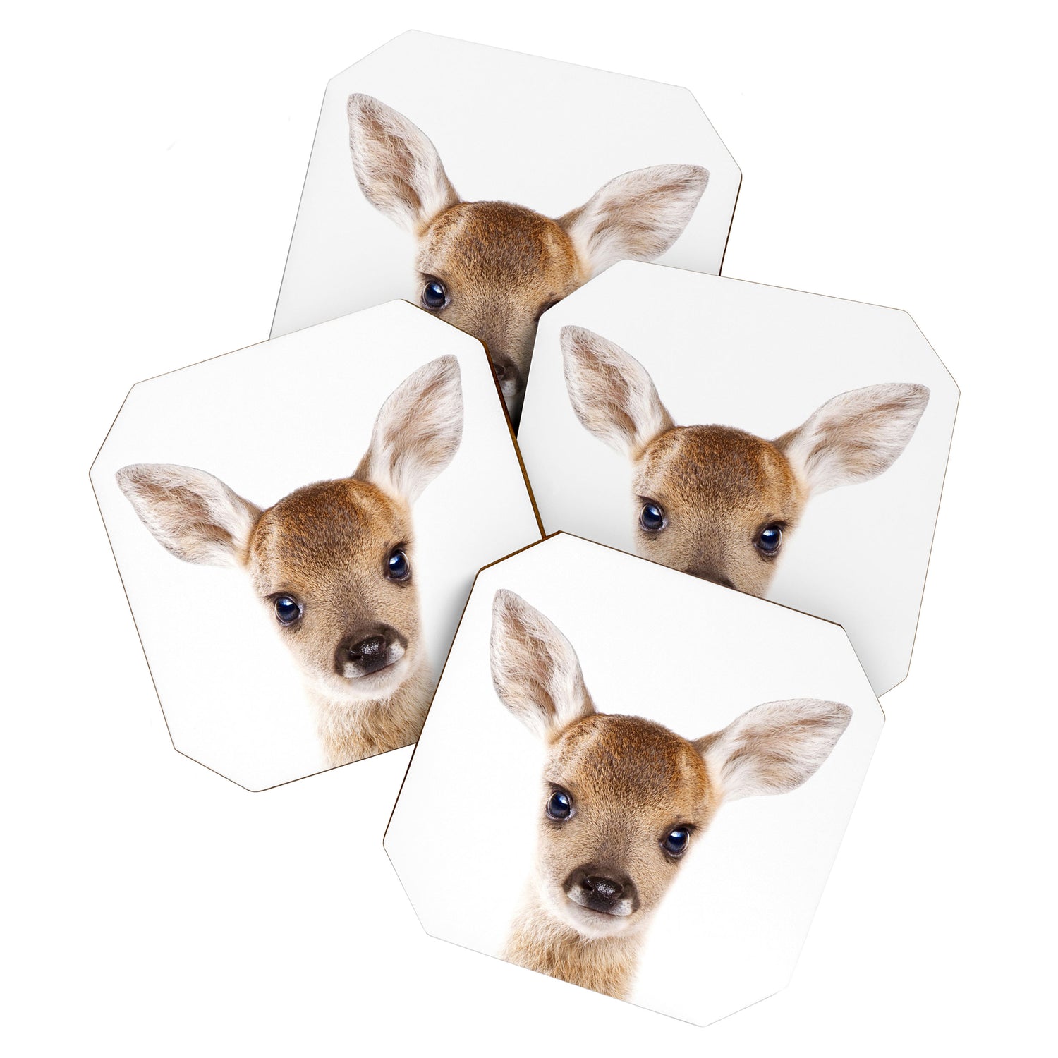 Baby Deer, Woodland Animals, Kids Art, Baby Animals Art Print By Synplus Coaster Gallery Image 1