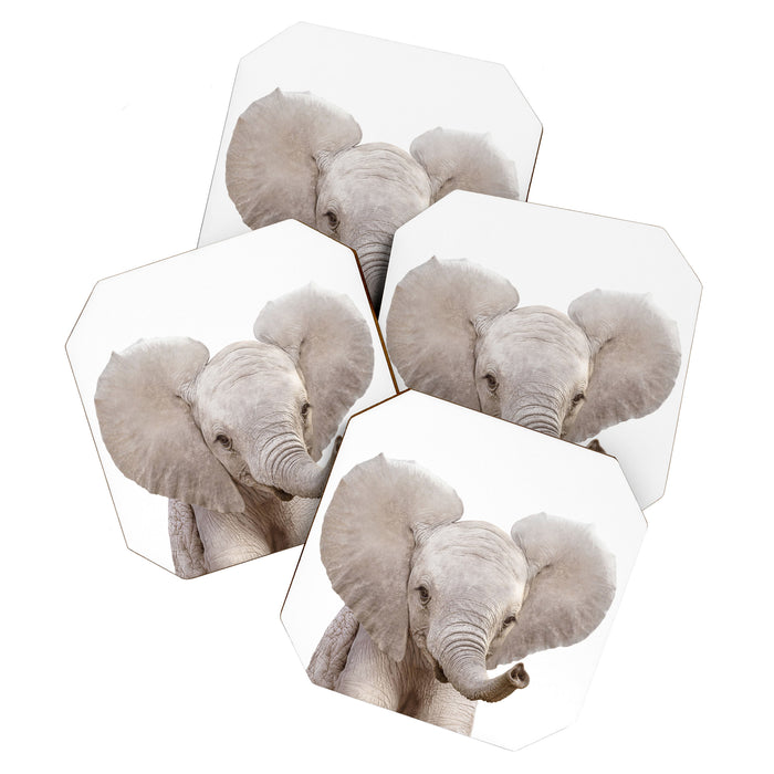 Baby Elephant, Safari Nursery Decor, Baby Animals Art Print by Synplus Coaster Gallery Image 1