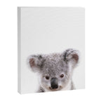 Baby Koala, Art for Kids, Nursery Art, Baby Animals Art Print By Synplus Canvas Print Gallery Image 6