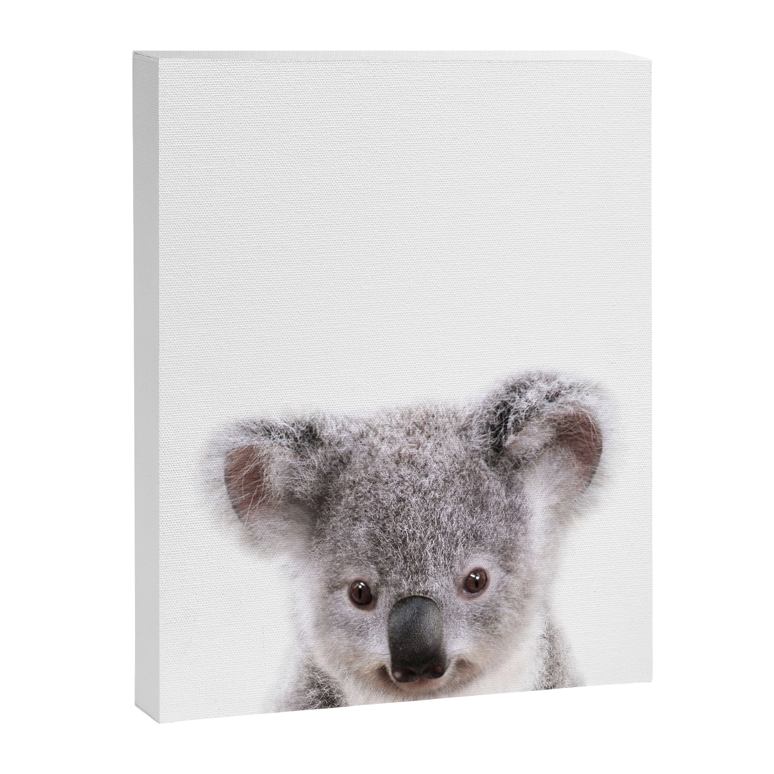 Baby Koala, Art for Kids, Nursery Art, Baby Animals Art Print By Synplus Canvas Print Gallery Image 6
