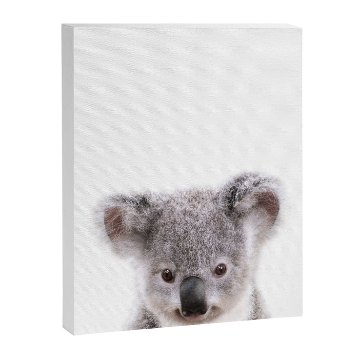Baby Koala, Art for Kids, Nursery Art, Baby Animals Art Print By Synplus Canvas Print Gallery Image 1