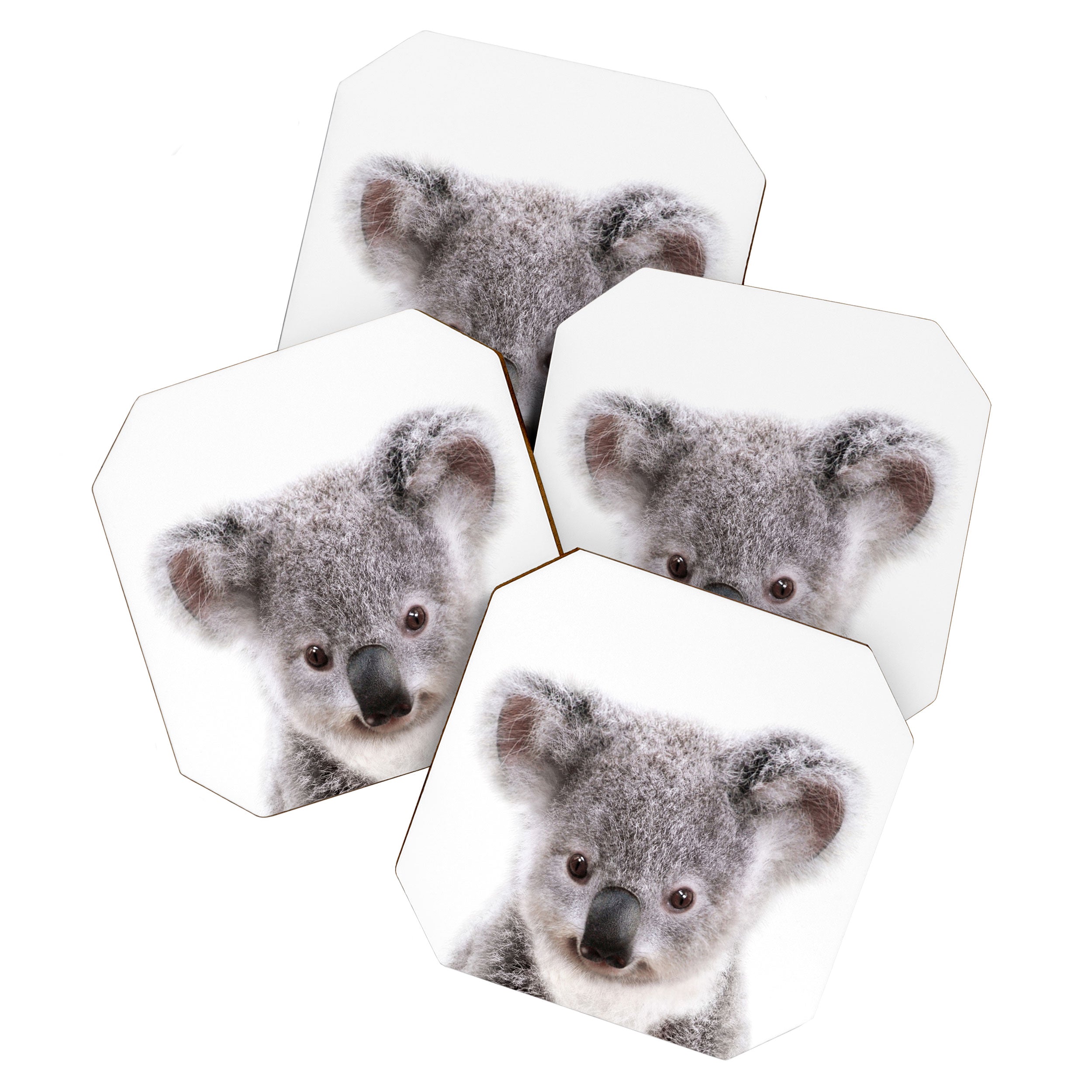 Baby Koala, Art for Kids, Nursery Art, Baby Animals Art Print By Synplus Coaster Gallery Image 1