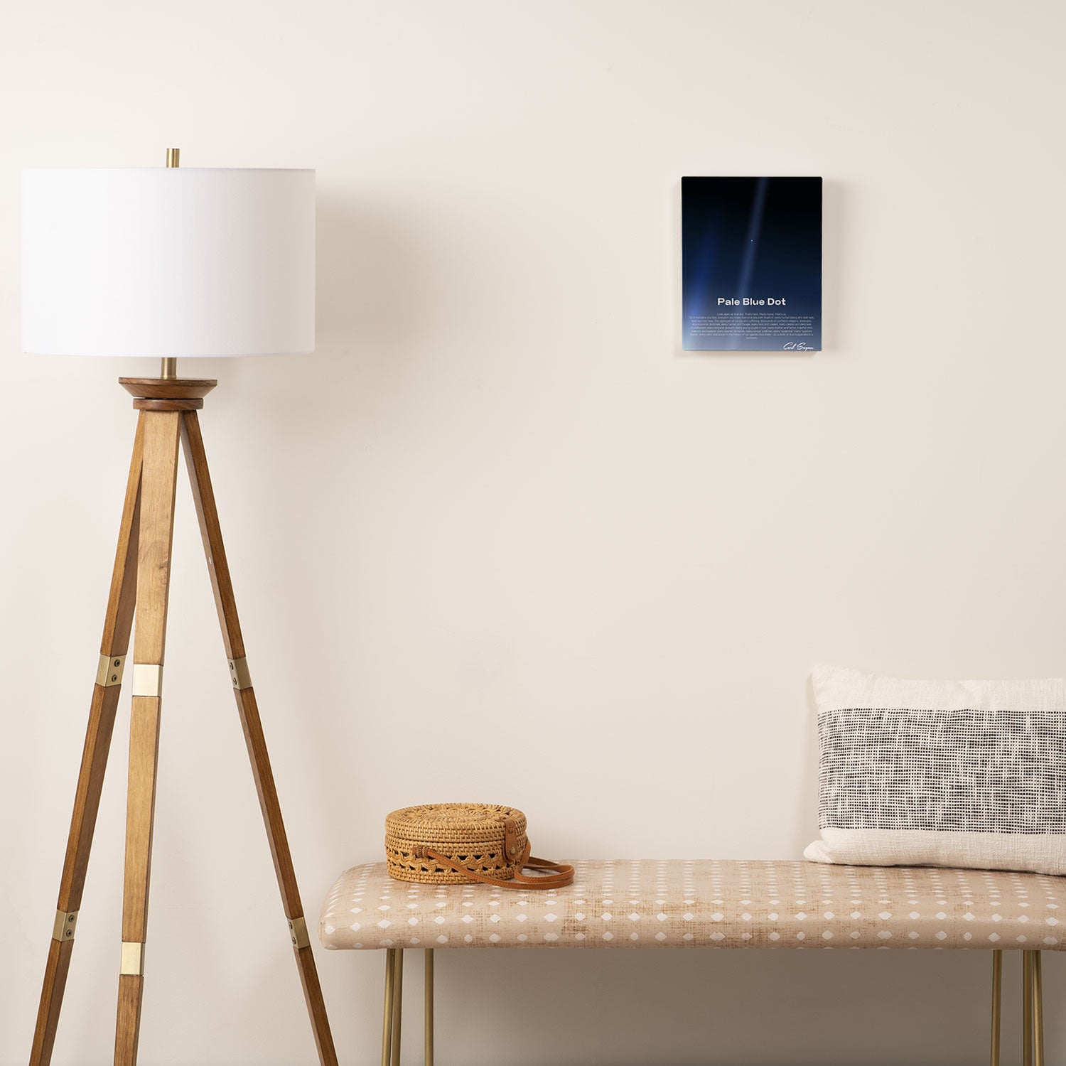 Pale Blue Dot poster, NASA Voyager 1 with Carl Sagan quote (vector art) Canvas Print Gallery Image 2