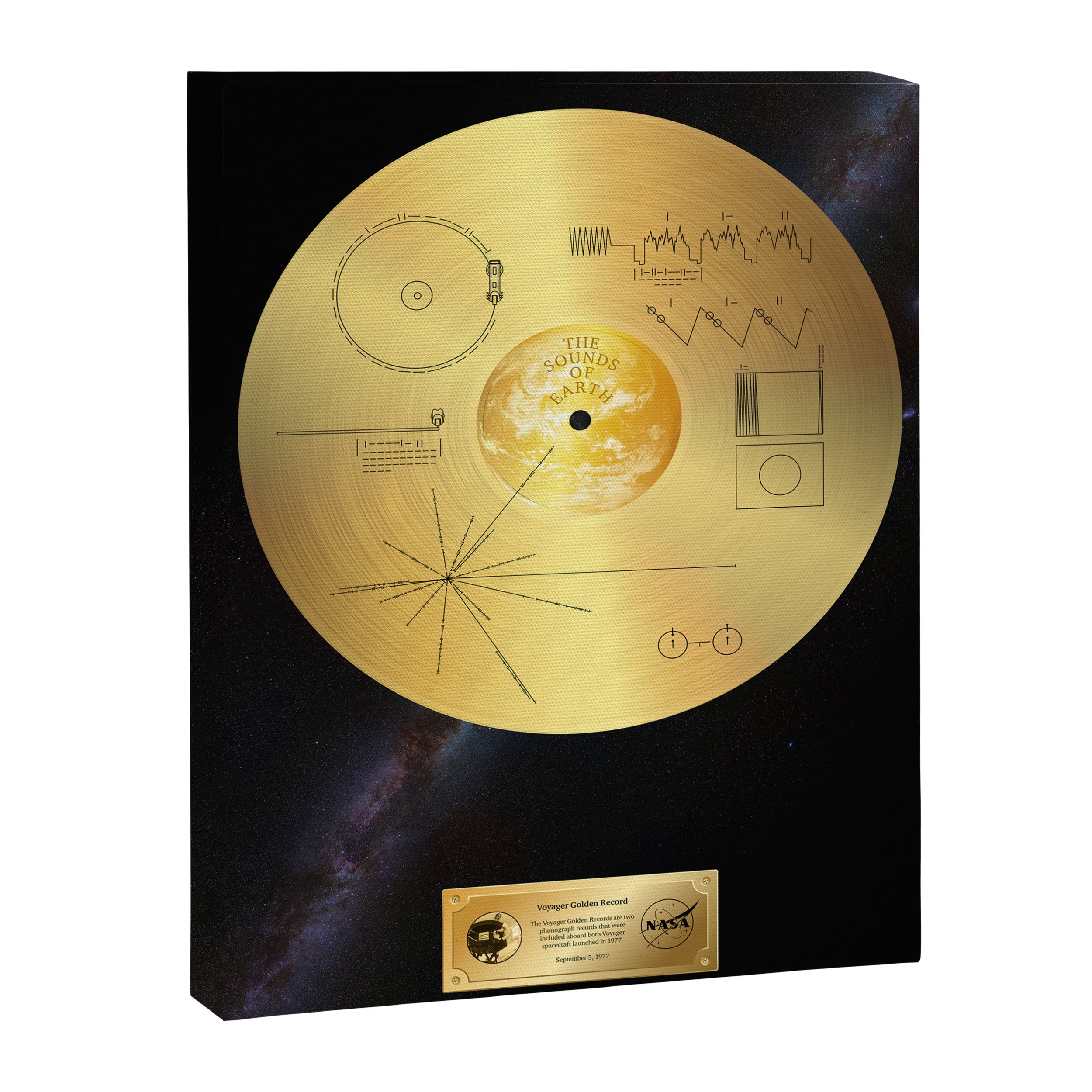 Voyager 1 Golden Record #1 Canvas Print Gallery Image 6